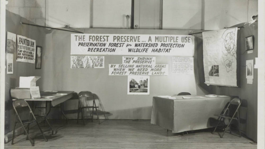 Apperson Collection: Forest Preserve Booth Forest Preserve booth at the White Plains Garden Club show 1950s.
