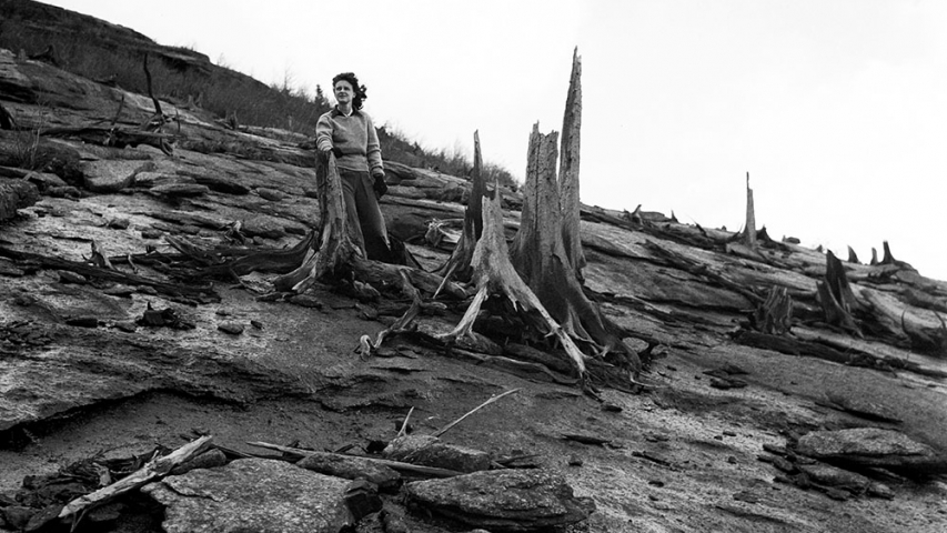 Flickinger Collection: Rocky Peak Ridge 10/19/1946 Woman stands next to burned tree on mountain ridge.