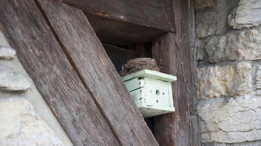 AR Facilities 3 Birdhouse in roof mounting.