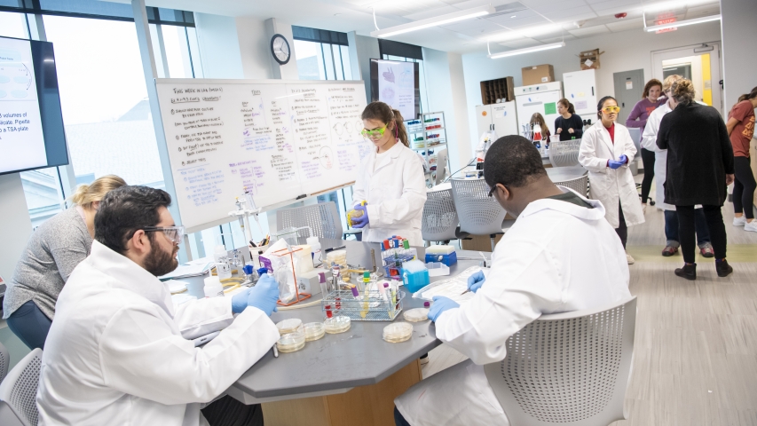 Microbiology Lab Spring 2019