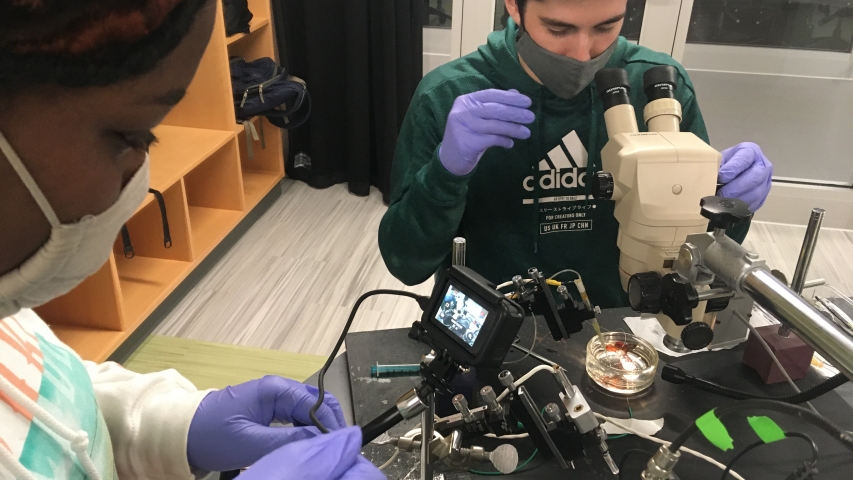 Biology Lab