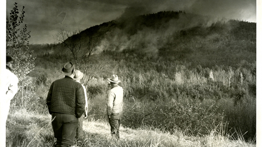 Fire on Bassett Mountain in 1966
