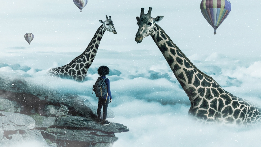 Photo by Stephen Nadler