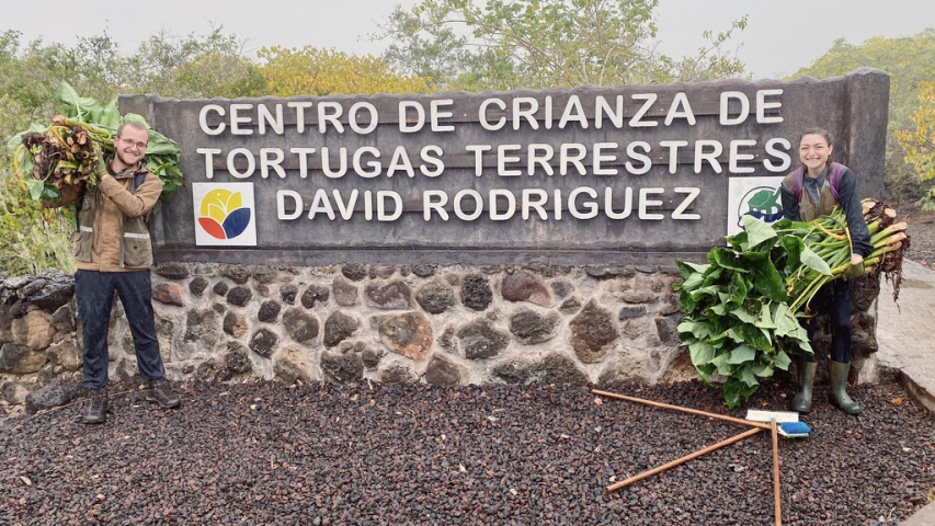 Cameron Bechtold '20