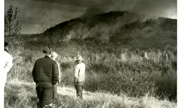 Fire on Bassett Mountain in 1966