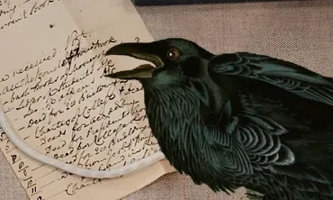 Fall Library Exhibitions 2026