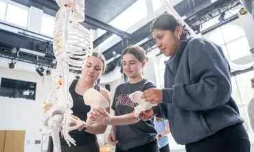 Three students look at the body's bones.