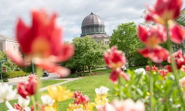 A springtime view of the Nott