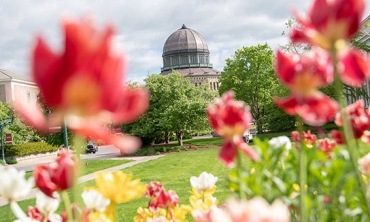 A springtime view of the Nott
