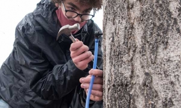 Andrew Nordell '23 and Hugh Jenkins, professor of English, were among those honored with a Presidential Green Grant. The pair purchased equipment to tap maple trees on campus and produced their first batch of syrup.