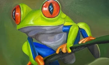 A painting of the amphibian Agalychnis callidryas
