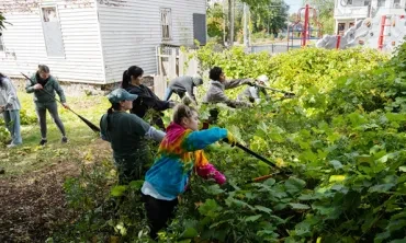 Students trimming some overgrown  hedges