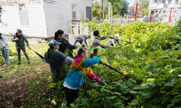 Students trimming some overgrown  hedges