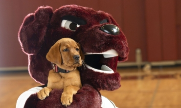 The new Union College mascot "Charger," holds a puppy with the same name.