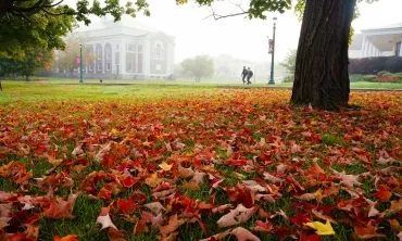 Students strolling across campus during a foggy fall day