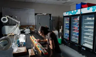 Anne Pearl works in a Geosciences lab