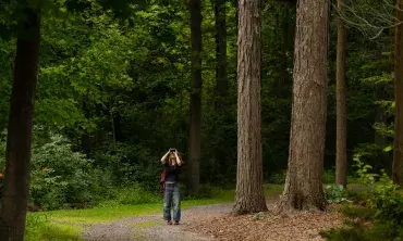 walking
