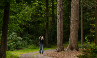 walking