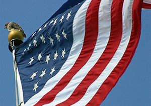 Close up of the U.S. flag on the Union Campus.