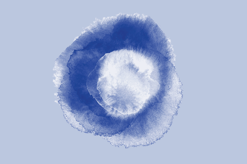 A swatch of indigo