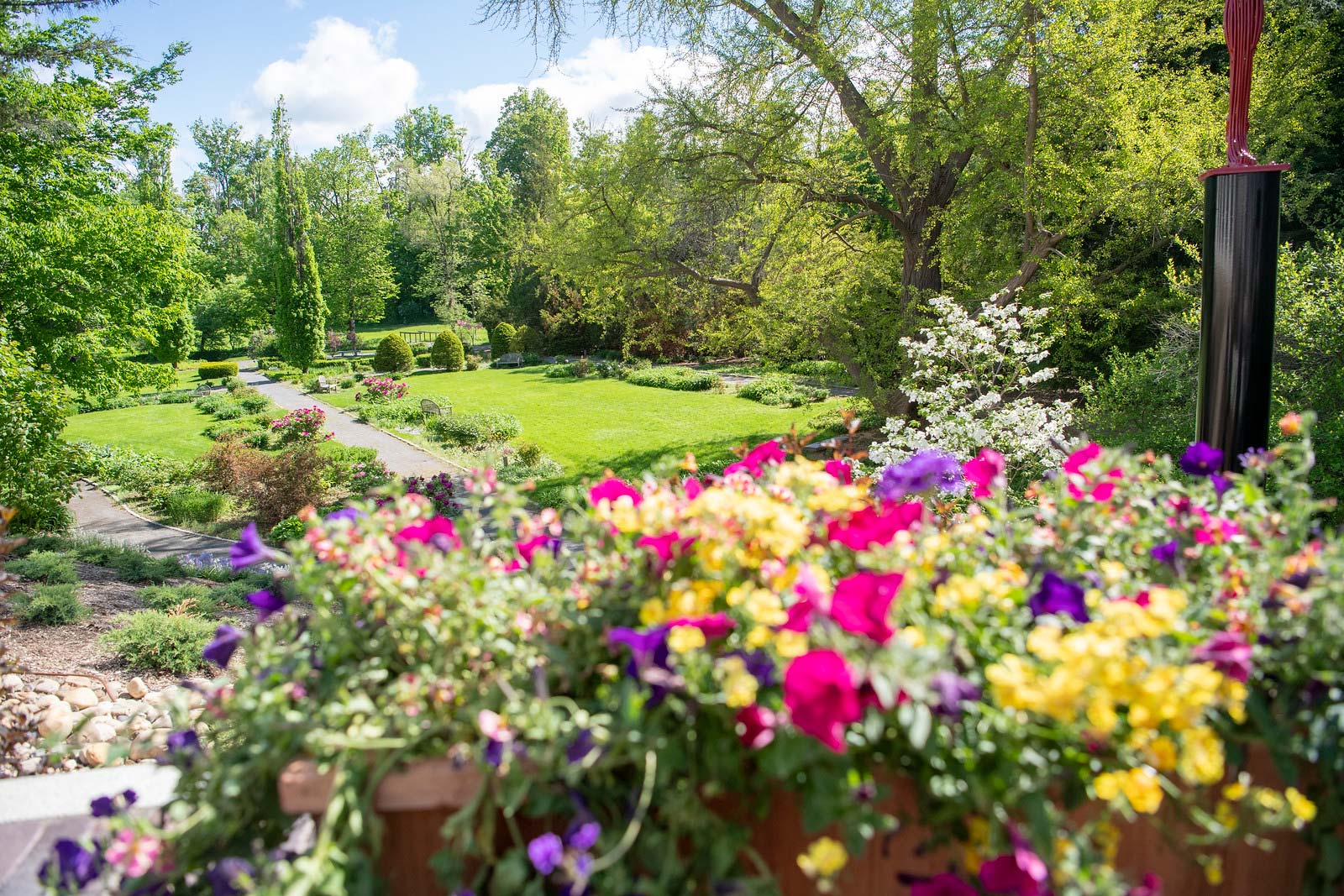 A view of Jackson's Garden