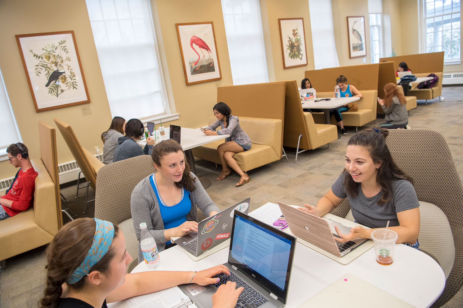 Student group study session in the library common area.