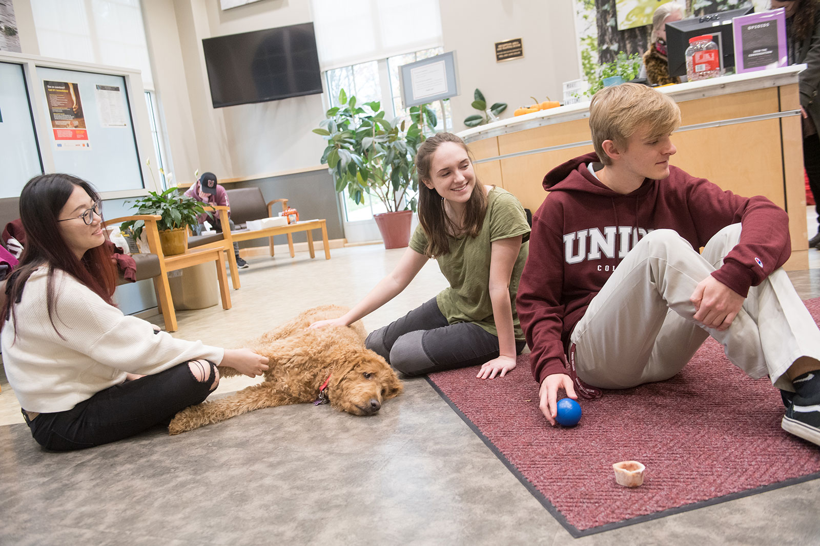 Three students inside Wicker Wellness Center sit near one of the therapy dogs resting on the floor.