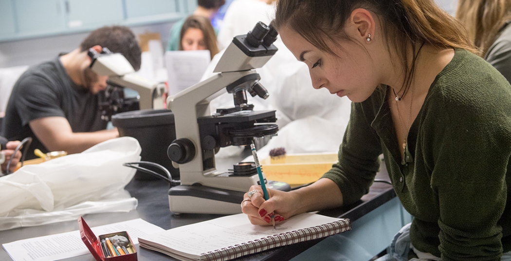 The Illustrated Organism combines biology with visual arts, requiring students to use both artistic ability and scientific observation to understand the structure of living things.