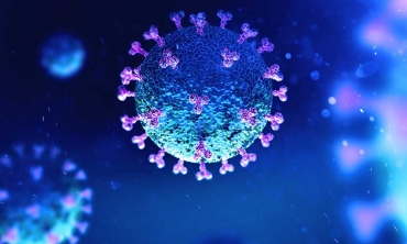 An illustration of the COVID virus